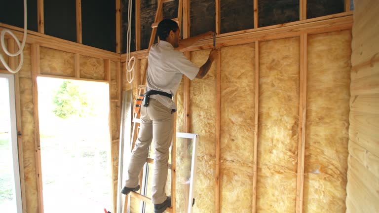 Best Insulation Air Sealing  in USA